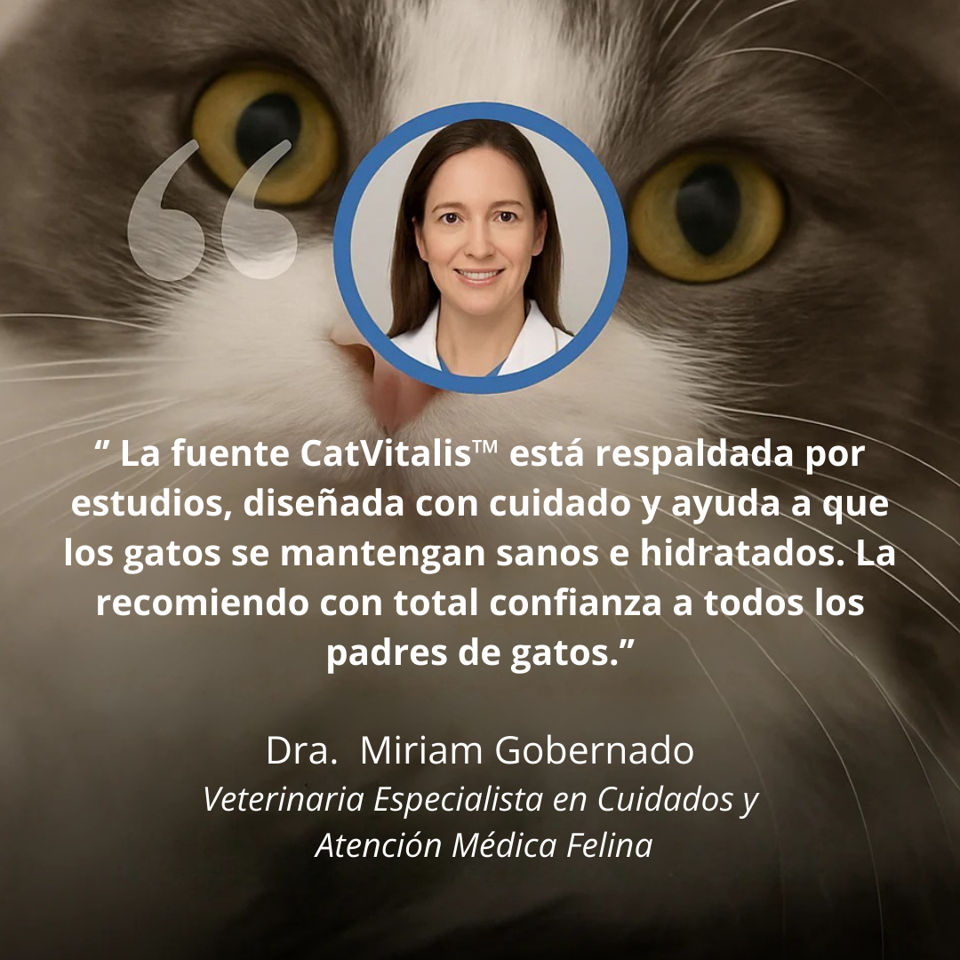 CatVitalis™ - Fuente de agua para gatos de acero inoxidable