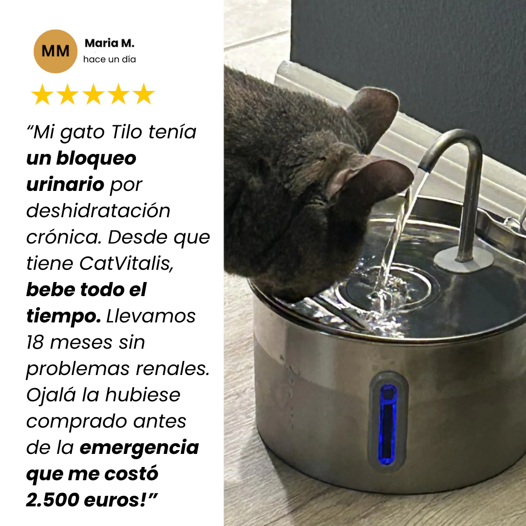 CatVitalis™ - Fuente de agua para gatos de acero inoxidable