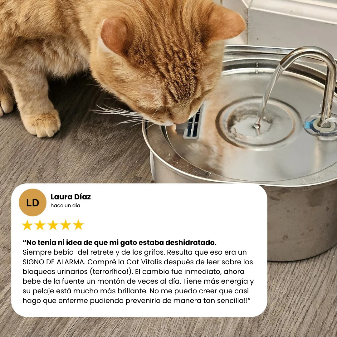 CatVitalis™ - Fuente de agua para gatos de acero inoxidable