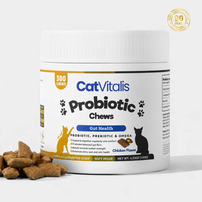 Probióticos Felinos
