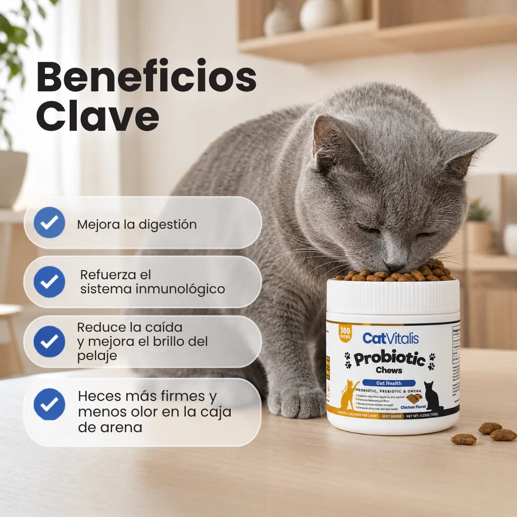 Probióticos Felinos