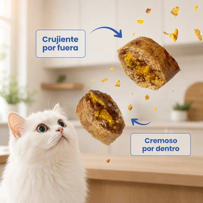 Probióticos Felinos