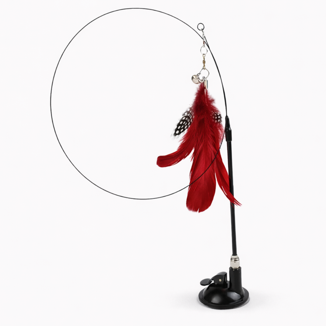 Juguete Interactivo con pluma