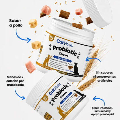 Probióticos Felinos