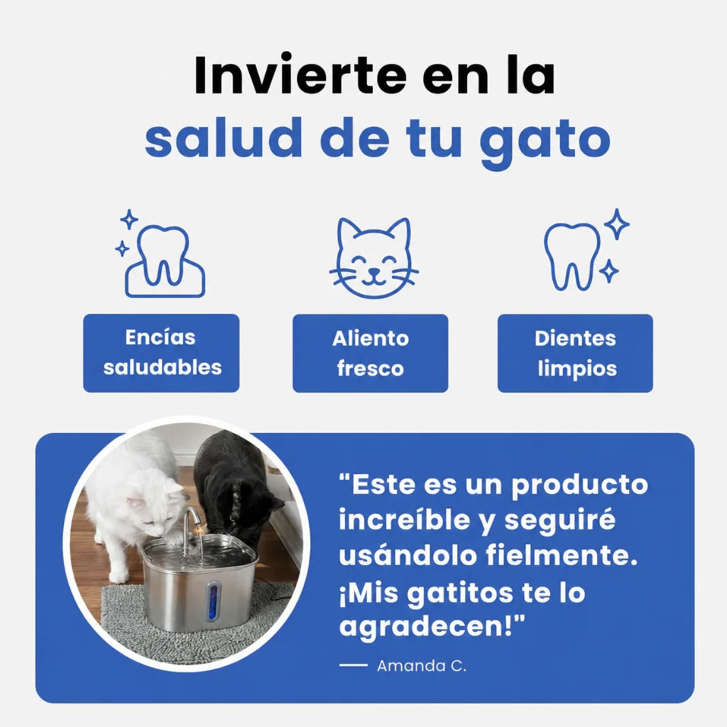Enjuague dental felino