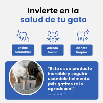 Enjuague dental felino