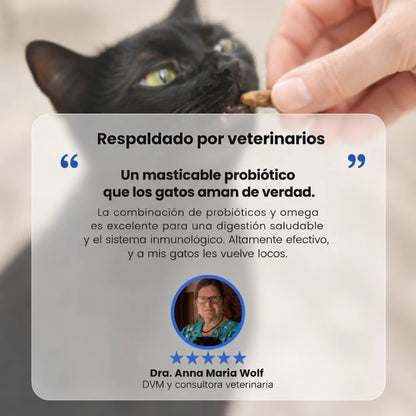 Probióticos Felinos