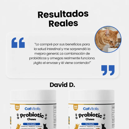 Probióticos Felinos