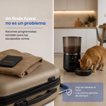 Comedero Automático CatVitalis