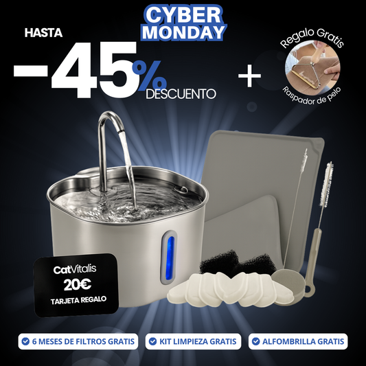 KIT CYBER MONDAY - Fuente de agua para gatos de acero inoxidable