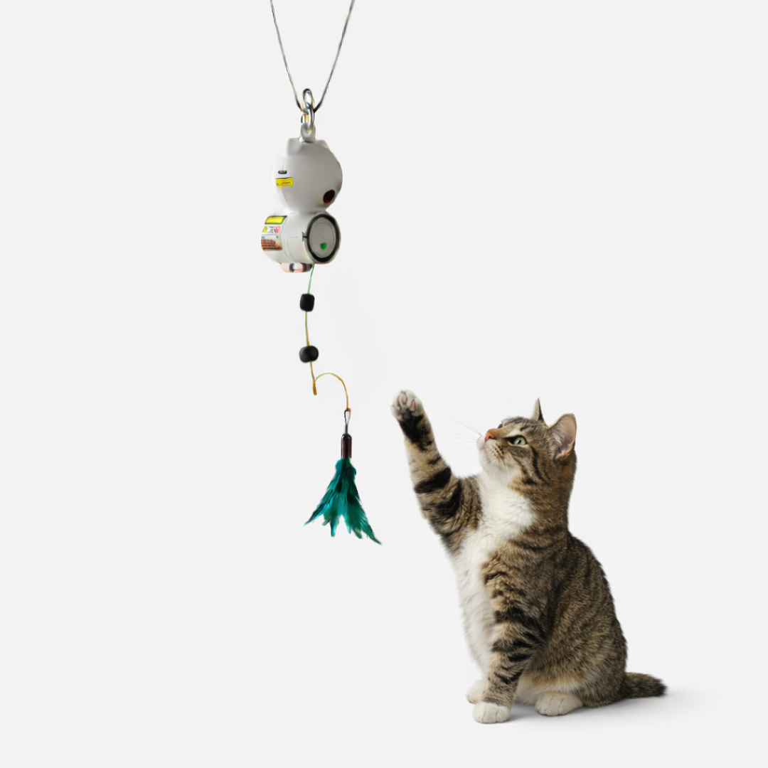 Juguete interactivo automático con pluma y láser