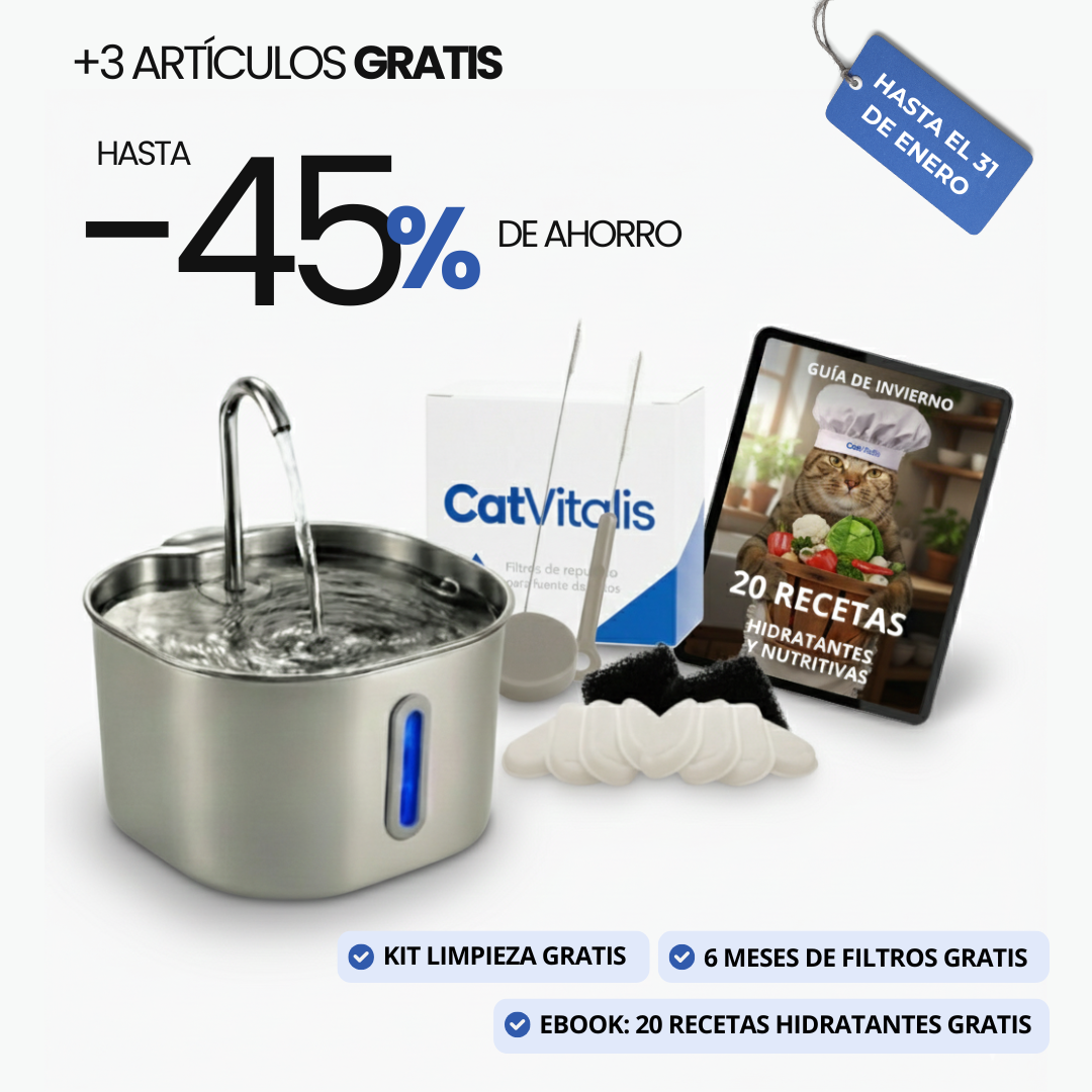 KIT ESENCIAL HIDRATACIÓN - Fuente de agua para gatos de acero inoxidable