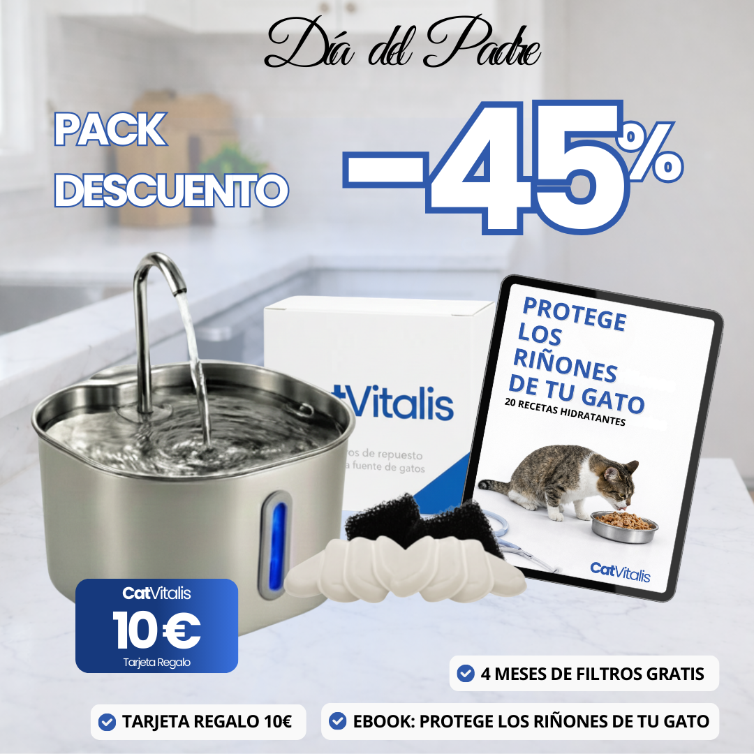 KIT DÍA DEL PADRE - Fuente de agua para gatos de acero inoxidable