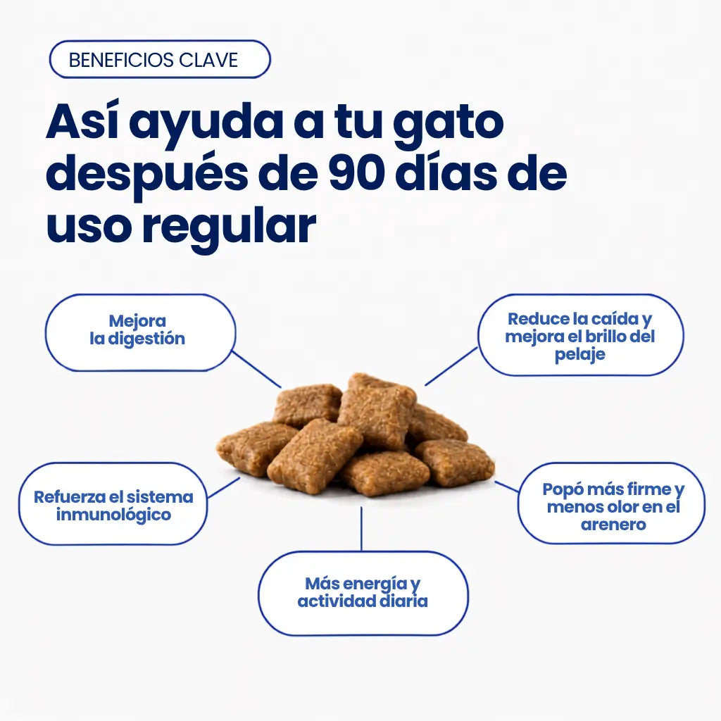 Bocados de Probióticos Felinos