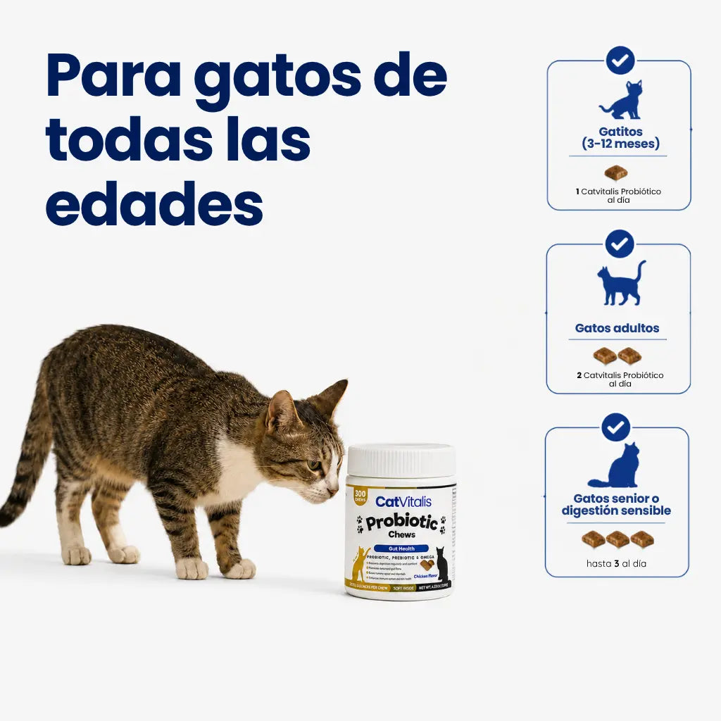 Bocados de Probióticos Felinos