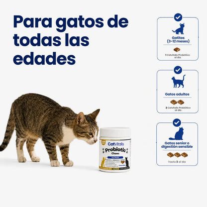 Bocados de Probióticos Felinos