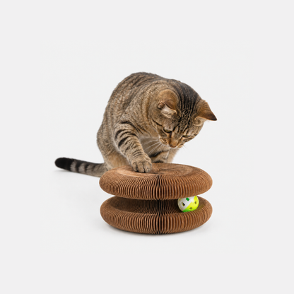 Rascador con pelota interactiva