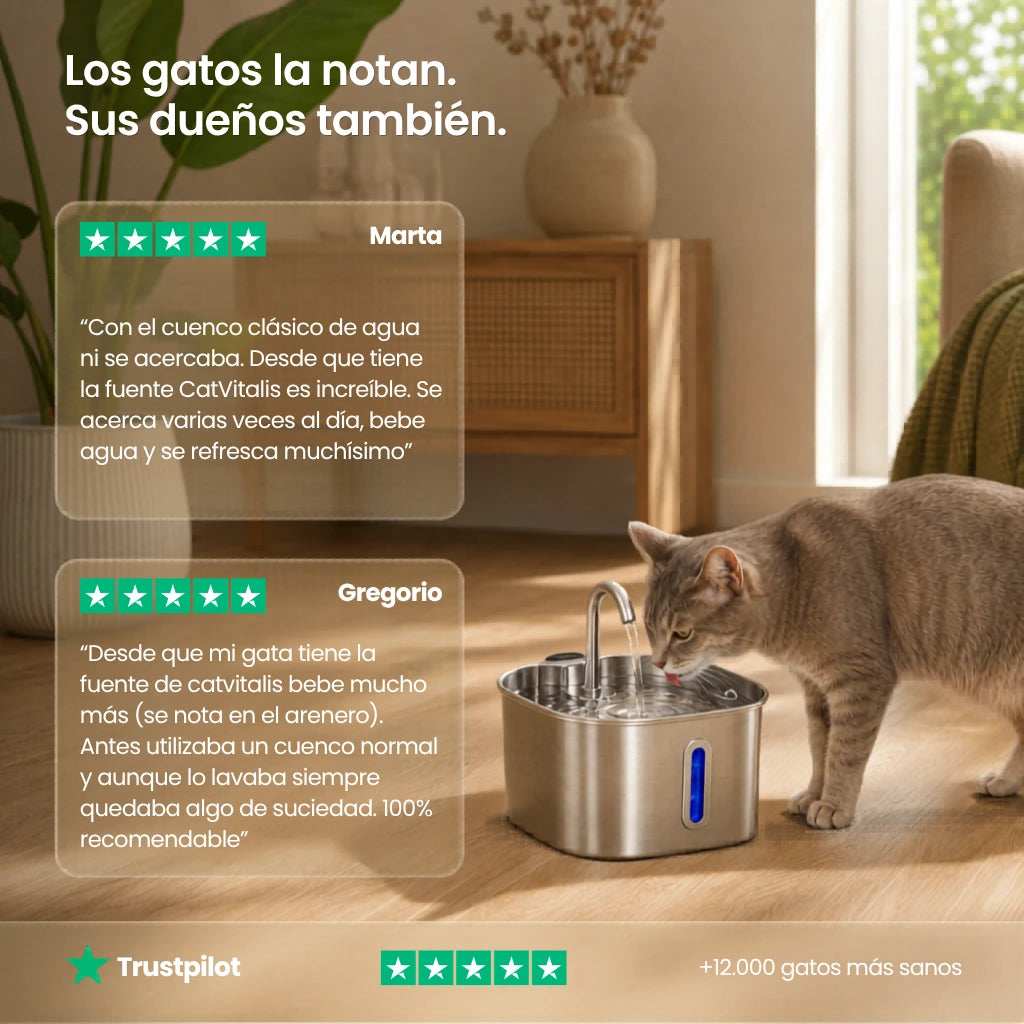 CatVitalis™ - Fuente de agua para gatos de acero inoxidable