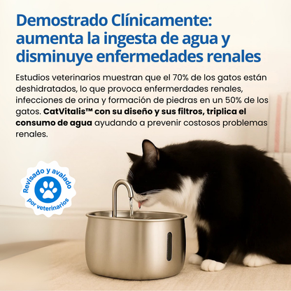 CatVitalis™ - Fuente de agua para gatos de acero inoxidable