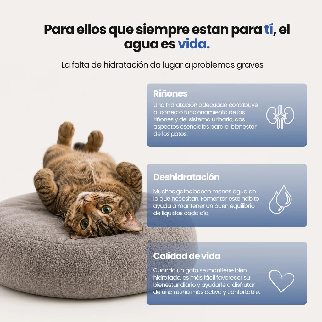 CatVitalis 2.0 - Fuente inalámbrica de acero para gatos
