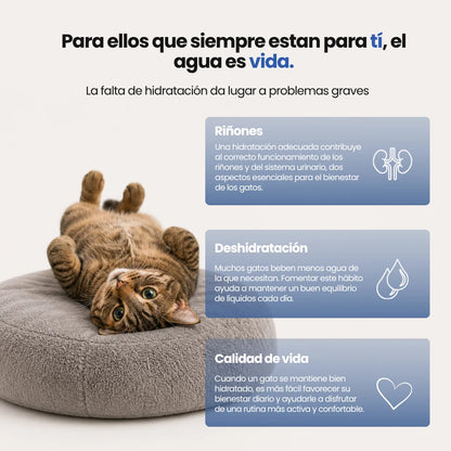 CatVitalis 2.0 - Fuente inalámbrica de acero para gatos